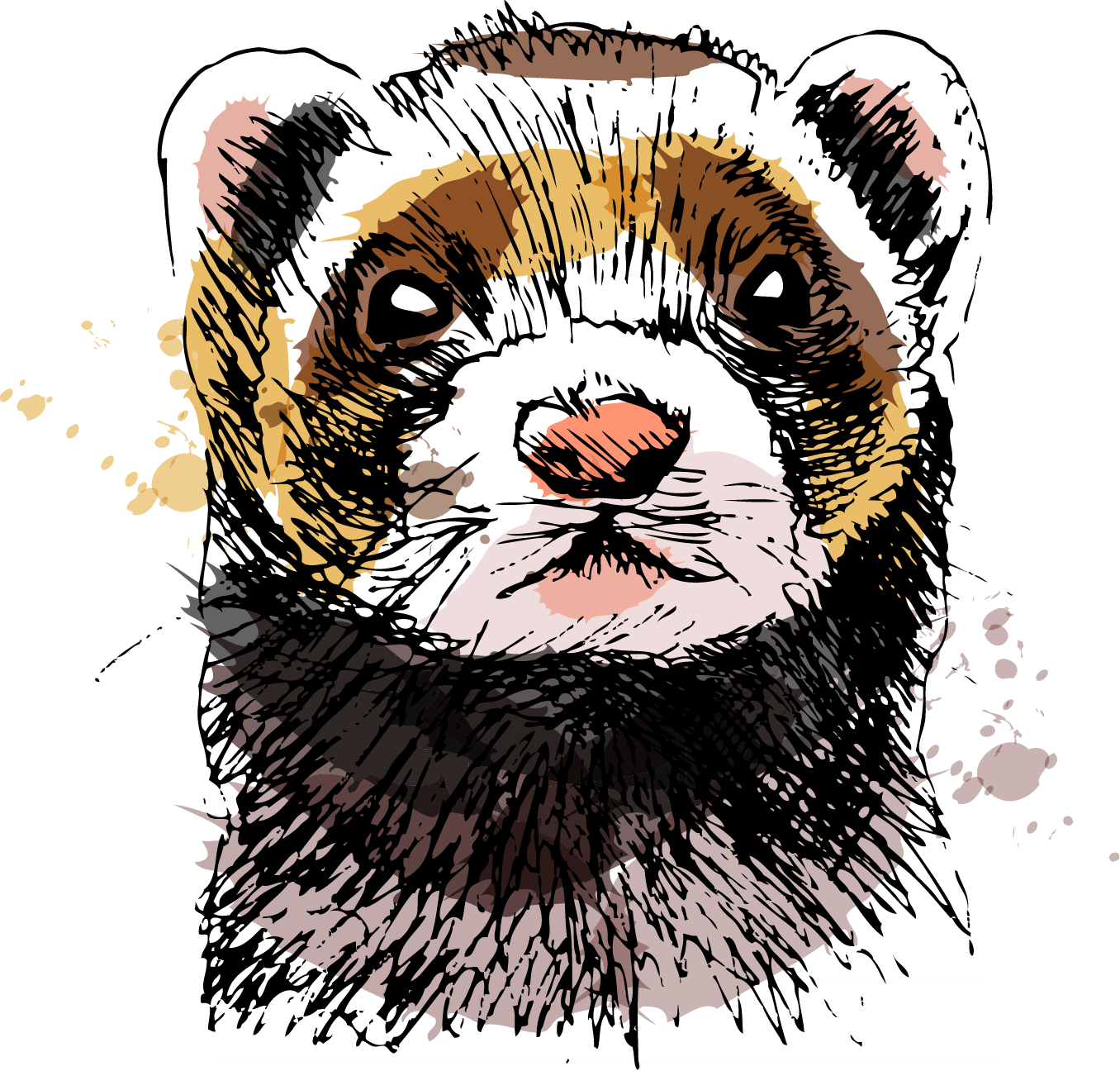 Watercolour Artwork of a Ferret
